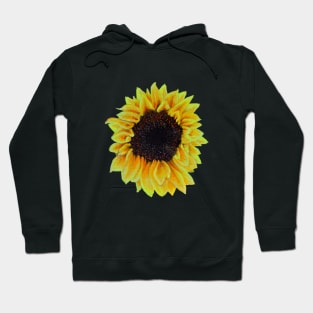 SUMMER SUNFLOWER Hoodie